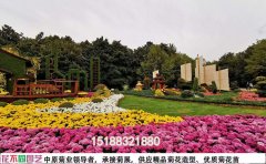 菊花基地：打造绝美花海的秘诀