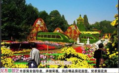 菊花展设计图大全