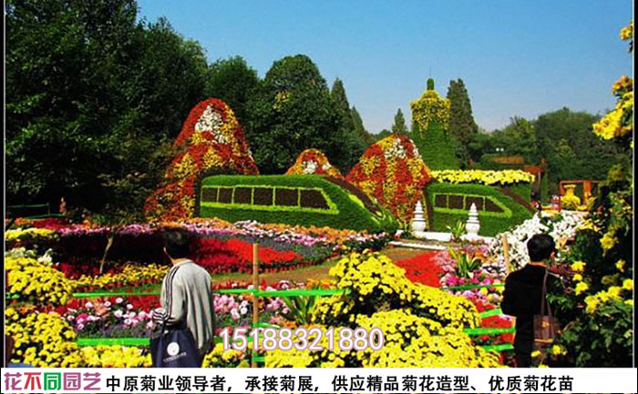 菊花展设计图