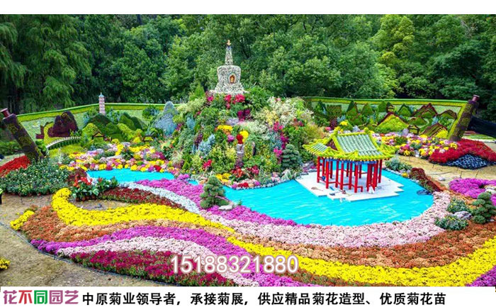 菊花展设计图