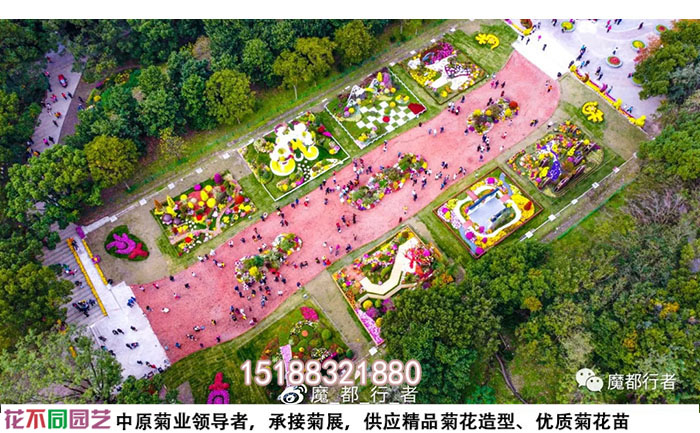 菊花展设计图