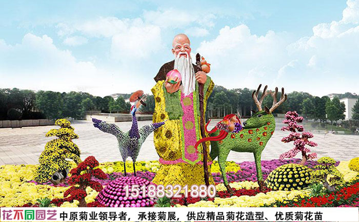 菊花展设计图
