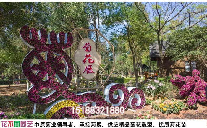菊花展设计图