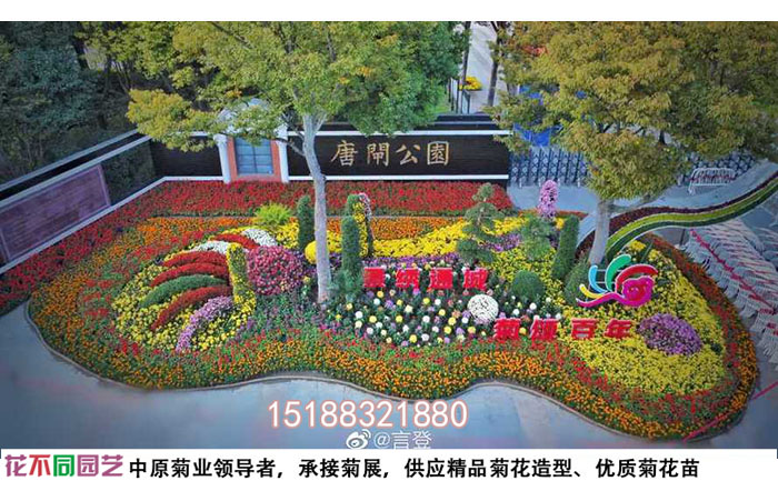 菊花展施工图
