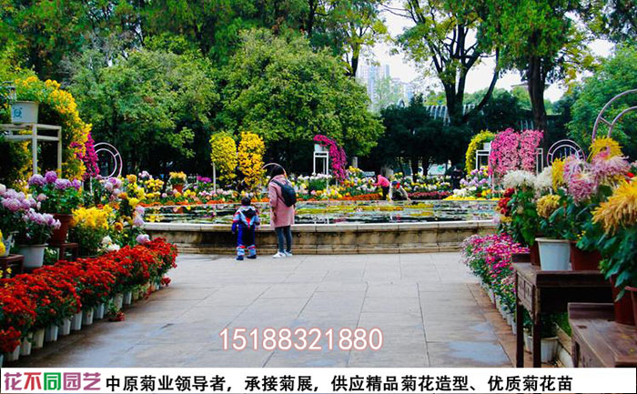 菊花展施工图