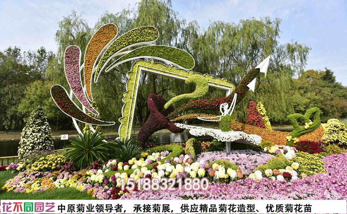 菊花展施工图