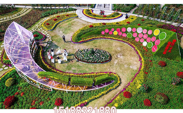 菊花展付拍图