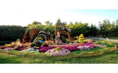 菊花节施工厂家在开封清园菊花展布展实例
