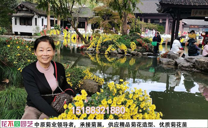 工人在菊花节现场施工