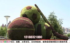 常见问题及解决方案-绿雕修复