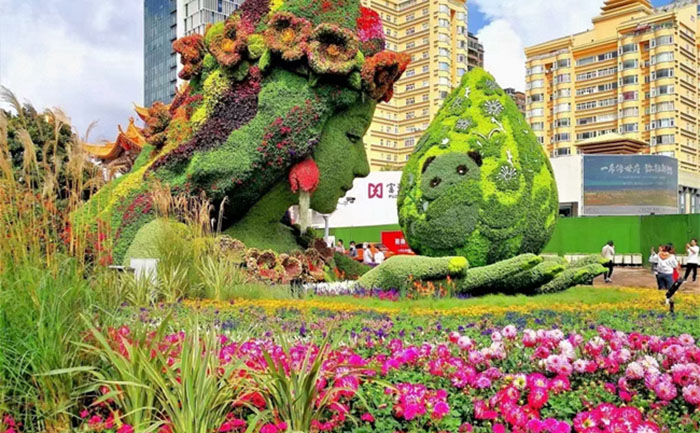 湖北武汉菊花展绿雕修复现场照片