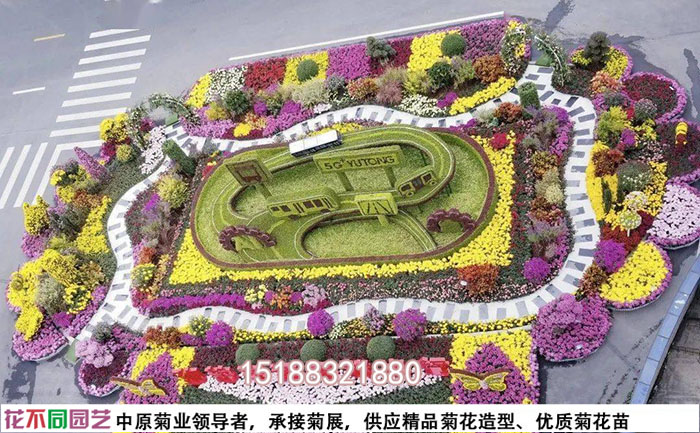 菊花花坛布置案例照片
