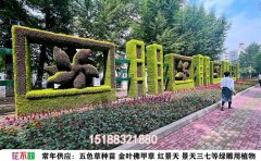 五色草批发｜园林工程用苗直供基地价格表