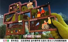 五色草种植基地｜标准化培育与立体造型全产业