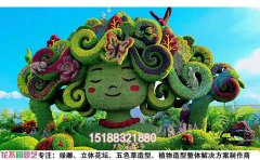 植物绿雕枯萎修复指南：原因分析与快速恢复技