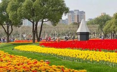 花海灌溉系统设计图｜2024年智能节水技术方案与