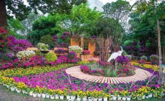 宿根花卉病虫害防治大全｜8大病害诊断与有机防