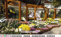 旅游景区菊花花海设计方案 |景区成功案例