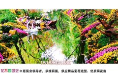 低成本菊花花海种植技术-降本增效方案与实施标
