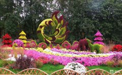 菊花景观设计案例实拍-精品项目解析