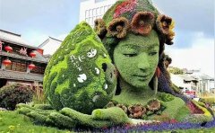 立体花坛五色草种苗指南｜全年养护方案