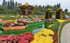 节日布展五色草种苗全攻略｜主题设计与施工养