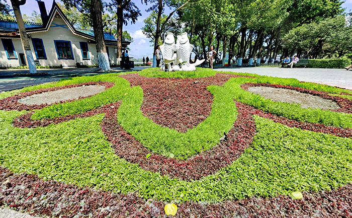 五色草在城市道路绿化带中的立体造型设计与色彩搭配案例图