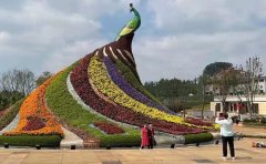 公园景观五色草苗设计方案｜施工与养护指南