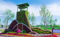 五色草种苗主造景方案与创新应用实例
