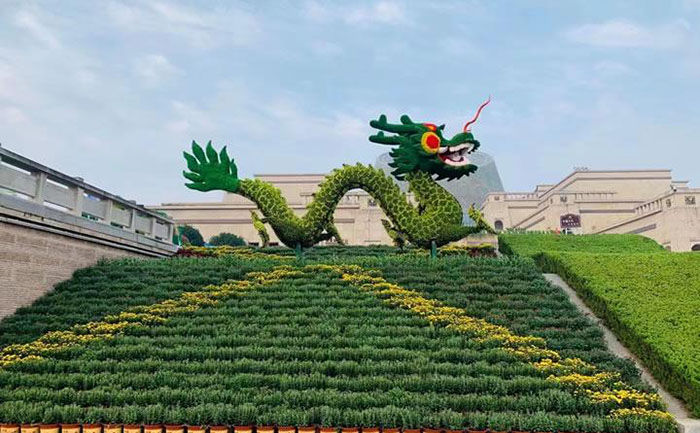 城市广场立体造型实景 矮生五色草立体字牌工程案例