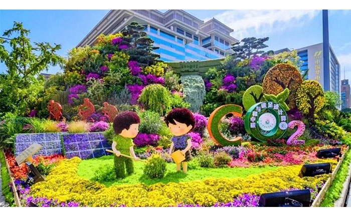专业修剪工具使用图解 五色草种苗修剪塑形操作示范