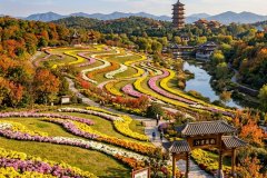 开封汴京公园“汴京菊韵