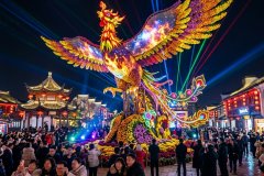 菊花展夜游如何做成网红